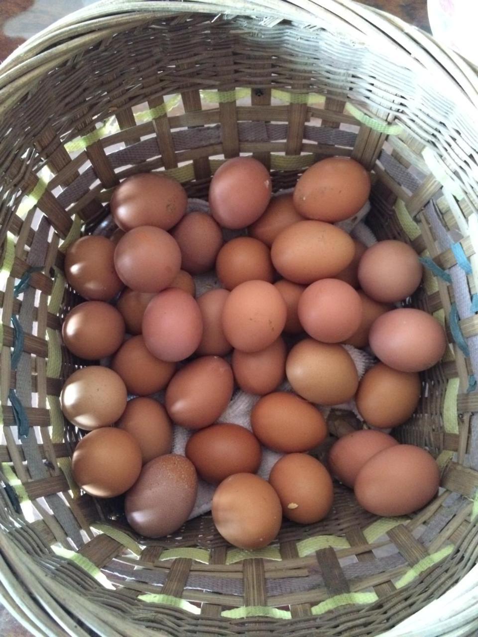 Hakka Inherited Host Hengshan Eksteriør bilde